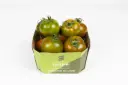 POMODORO INSALATARO