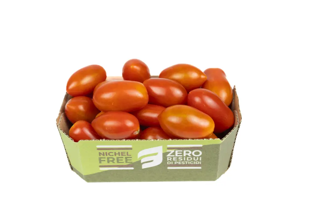 POMODORO DATTERINO ROSSO