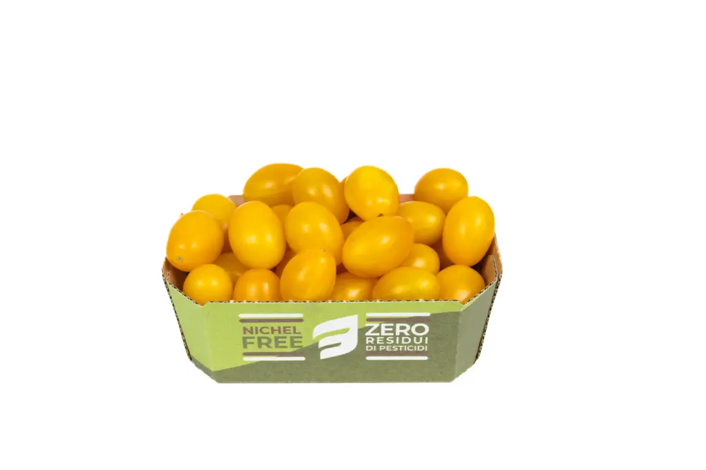 POMODORO DATTERINO GIALLO