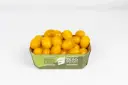 POMODORO DATTERINO GIALLO