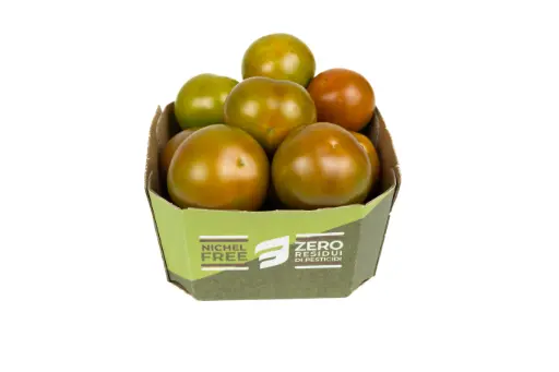 POMODORO INSALATARO