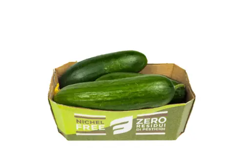 CETRIOLO BARESANO